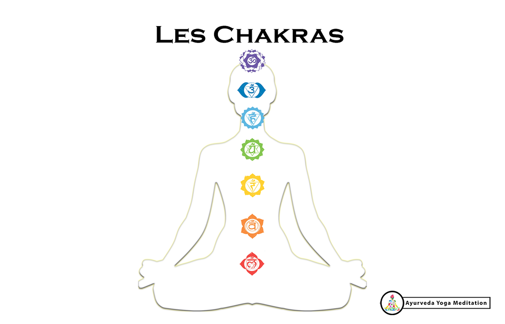 The chakras
